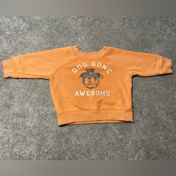 Baby Gap 3-6 months Gender Neutral Orange Dog Sweatshirt - Picture 2 of 5